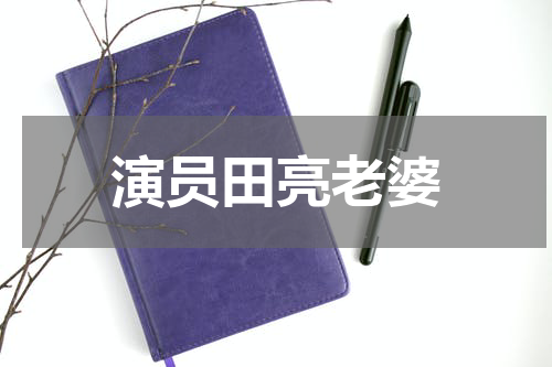 演员田亮老婆