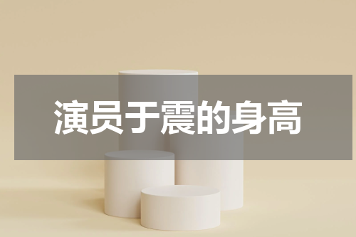 演员于震的身高