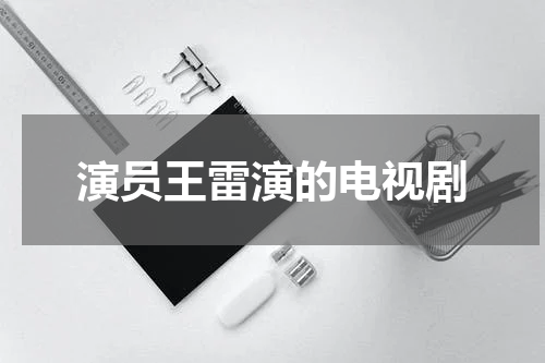 演员王雷演的电视剧
