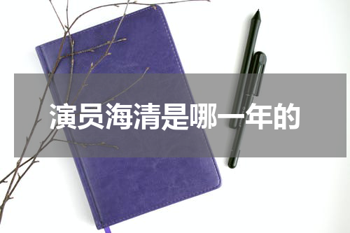 演员海清是哪一年的