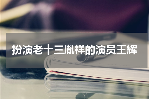 扮演老十三胤祥的演员王辉
