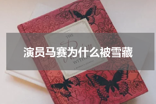 演员马赛为什么被雪藏