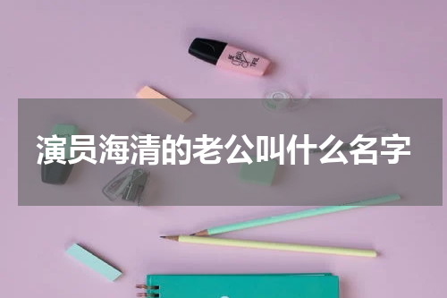 演员海清的老公叫什么名字