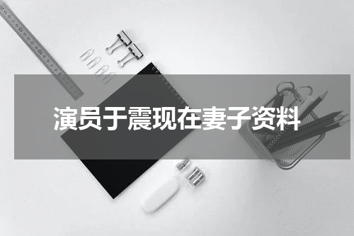 演员于震现在妻子资料