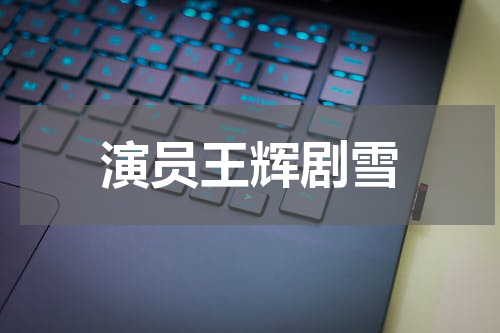 演员王辉剧雪