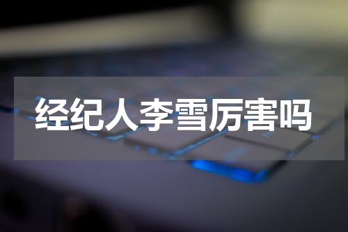经纪人李雪厉害吗