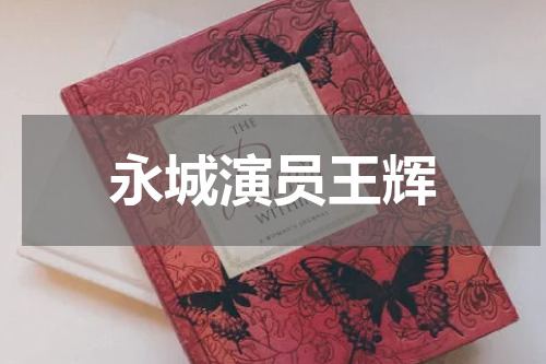 永城演员王辉