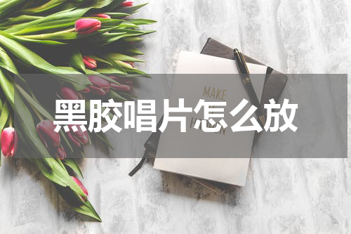 黑胶唱片怎么放