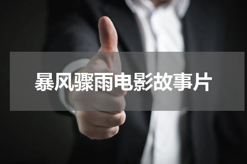 暴风骤雨电影故事片