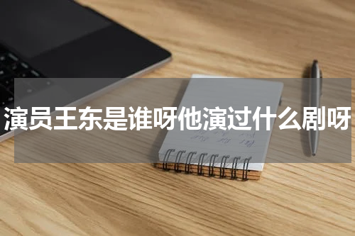 演员王东是谁呀他演过什么剧呀