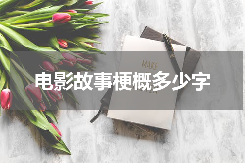 电影故事梗概多少字
