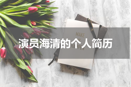 演员海清的个人简历