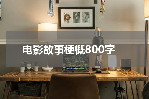 电影故事梗概800字
