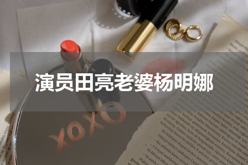 演员田亮老婆杨明娜