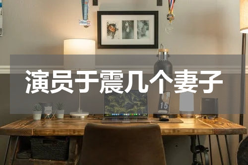 演员于震几个妻子