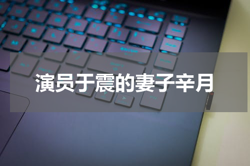 演员于震的妻子辛月