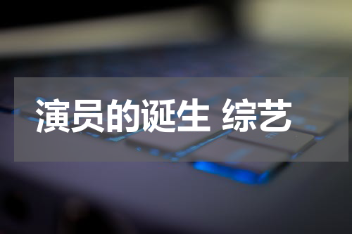 演员的诞生 综艺