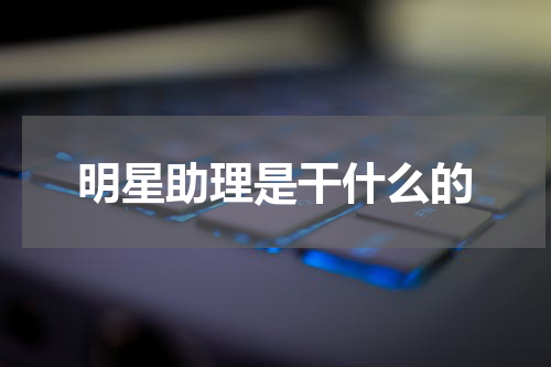 明星助理是干什么的