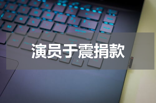 演员于震捐款