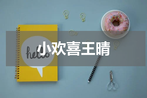 小欢喜王晴