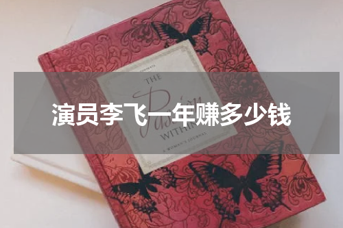 演员李飞一年赚多少钱