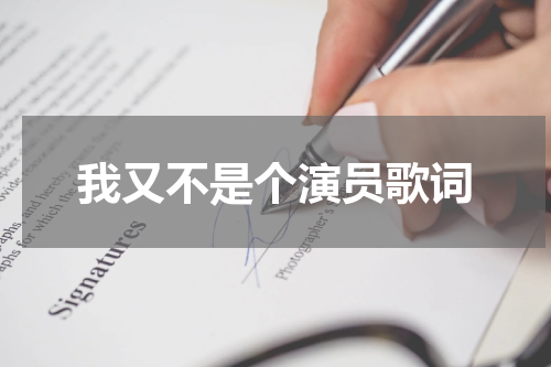 我又不是个演员歌词