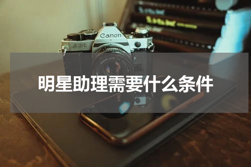明星助理需要什么条件