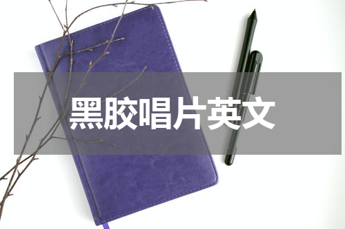 黑胶唱片英文