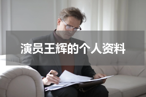 演员王辉的个人资料