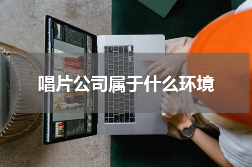 唱片公司属于什么环境