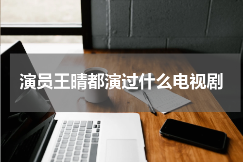 演员王晴都演过什么电视剧