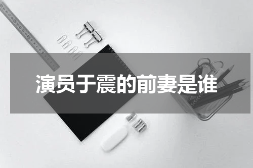 演员于震的前妻是谁