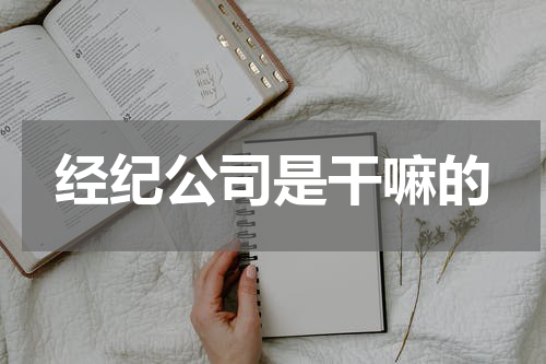 经纪公司是干嘛的