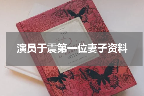 演员于震第一位妻子资料