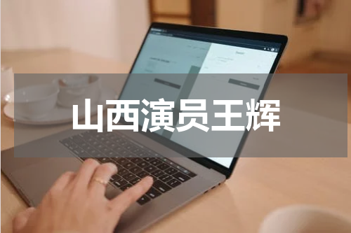 山西演员王辉