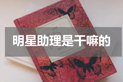 明星助理是干嘛的