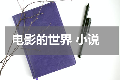 电影的世界 小说