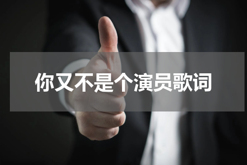 你又不是个演员歌词