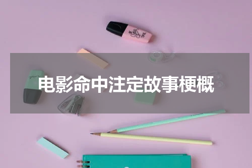 电影命中注定故事梗概