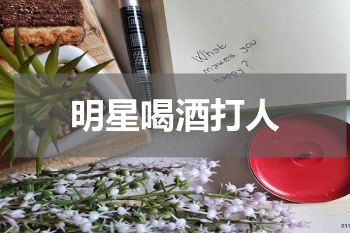 明星喝酒打人