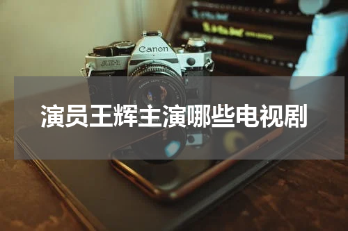 演员王辉主演哪些电视剧