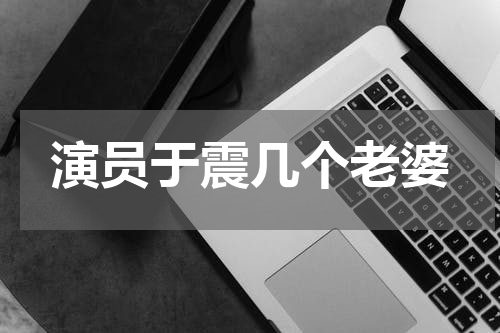 演员于震几个老婆