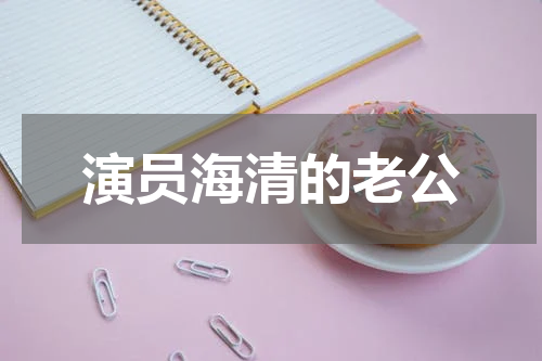 演员海清的老公