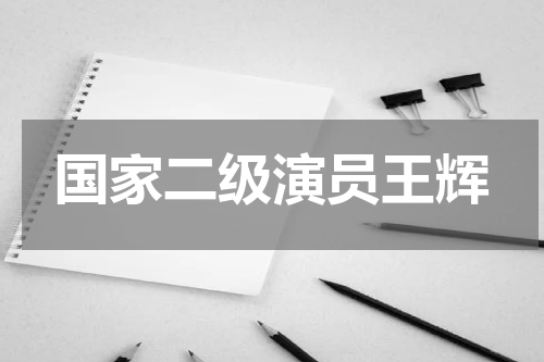 国家二级演员王辉