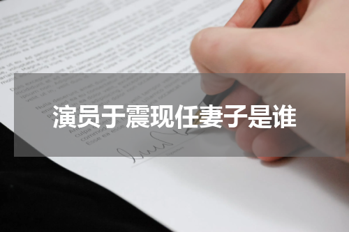 演员于震现任妻子是谁