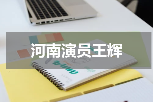 河南演员王辉