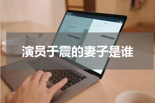演员于震的妻子是谁