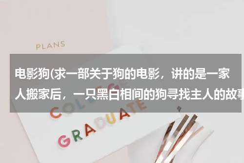 电影狗(求一部关于狗的电影，讲的是一家人搬家后，一只黑白相间的狗寻找主人的故事，最后积劳成疾还换了个猪鼻子。)