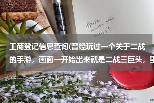 工商登记信息查询(曾经玩过一个关于二战的手游，画面一开始出来就是二战三巨头，里面选择可以阵营以及指挥官，主要就是抢地)