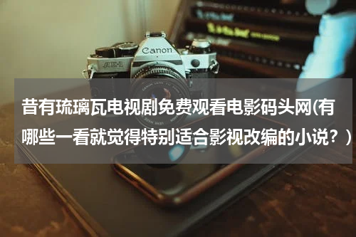昔有琉璃瓦电视剧免费观看电影码头网(有哪些一看就觉得特别适合影视改编的小说？)